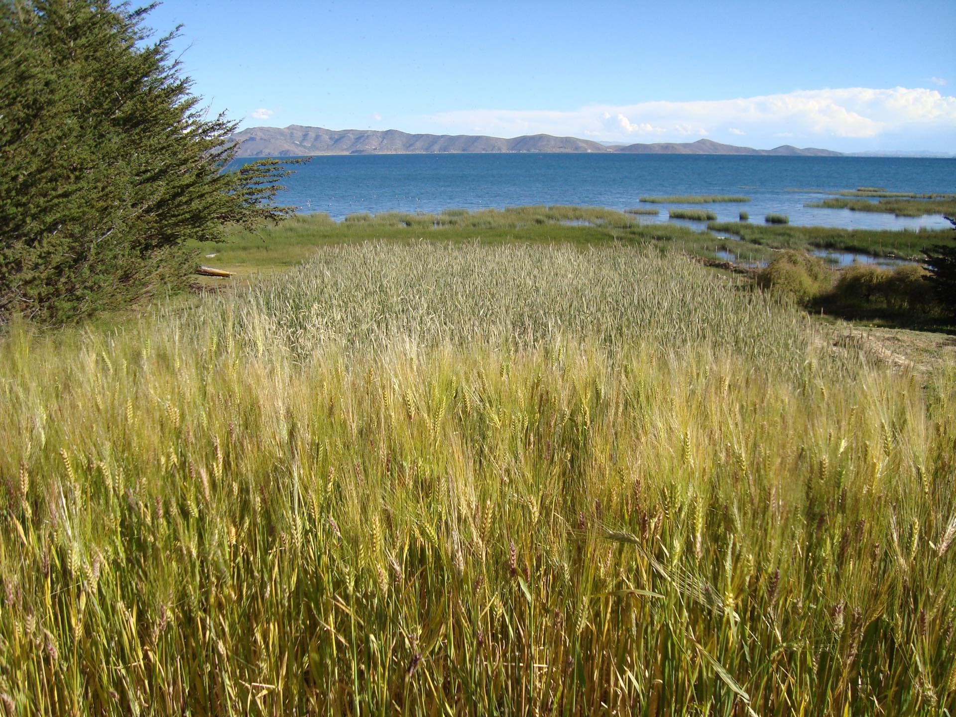 Hermoso terreno a orillas del Lago Titicaca